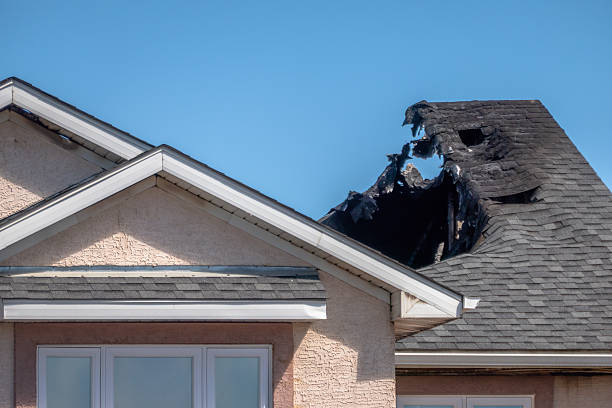 Licensed Content Restoration service in Glenwood, MN - Fire Damage Biloxi